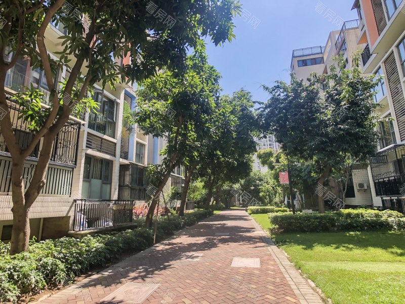 深圳泰华阳光海小区信息图片6