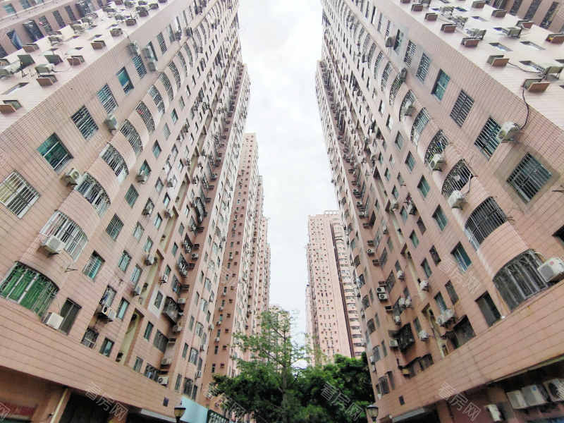 深圳龙珠花园(龙岗)小区信息图片9