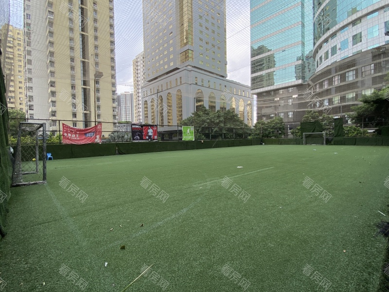 福田区  华景大厦单栋16G法拍房图片13