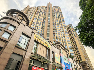 深圳广兴源圣拿威小区信息图片