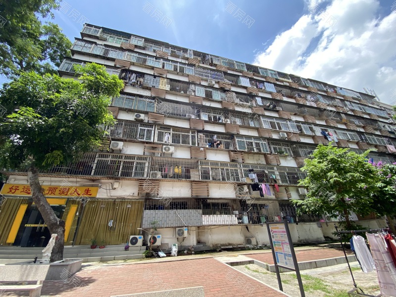 深圳鹏基公寓小区信息图片7