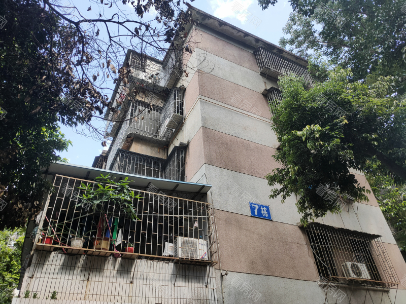 深圳凤凰路58号大院小区信息图片5