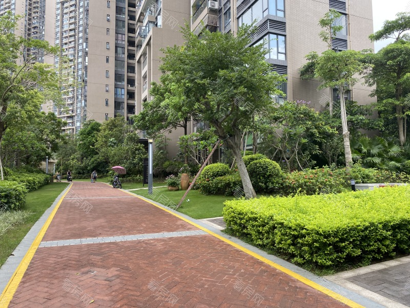 深圳金众云山栖小区信息图片4