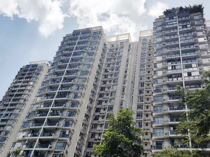 深圳海怡东方花园小区信息图片9