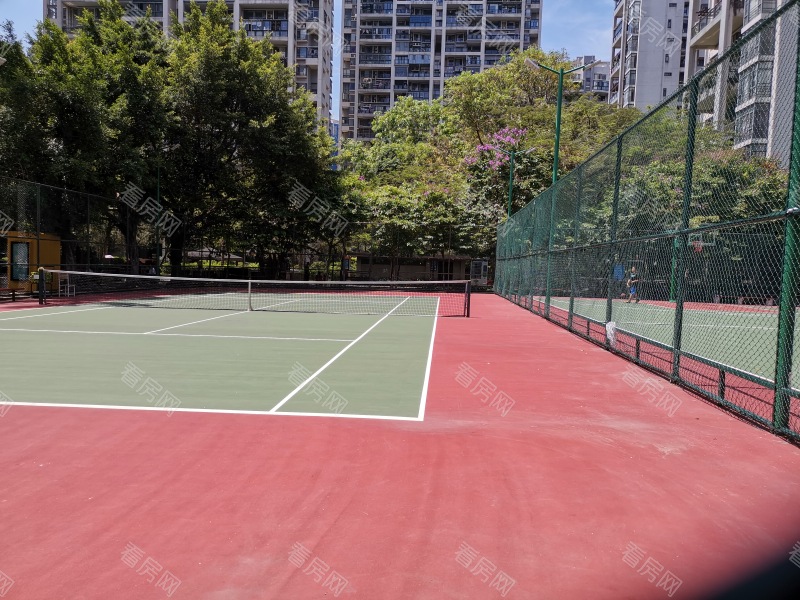 深圳鼎太风华五期小区信息图片7