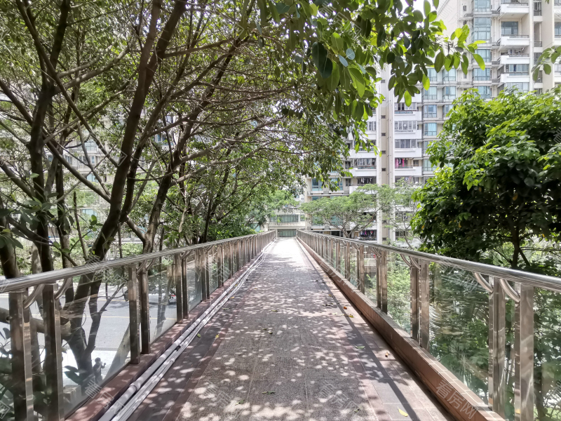 深圳合正锦园北区小区信息图片4