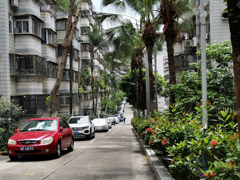 深圳德兴花园北区小区信息图片7