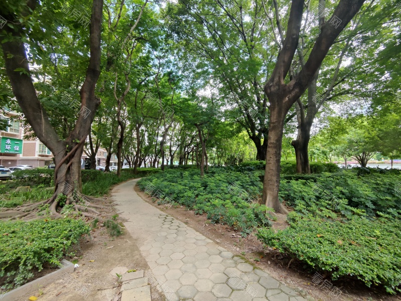 中山南兴花园小区信息图片5