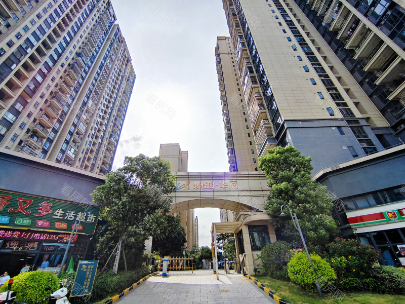 佛山碧桂园华府(顺德)小区信息图片4