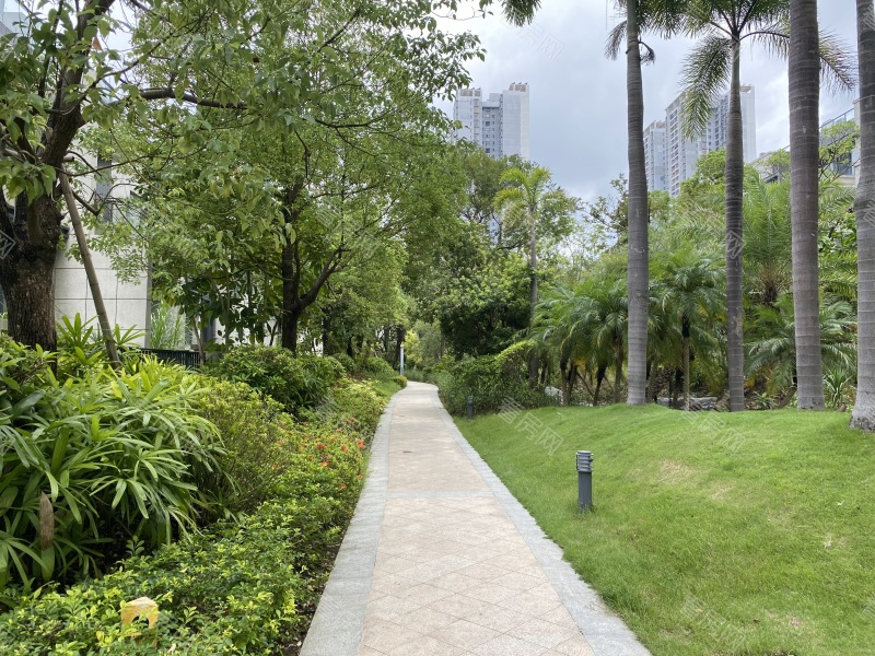 深圳金众云山栖小区信息图片7