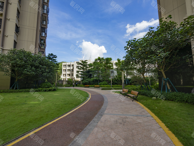 深圳保利香槟苑小区信息图片6