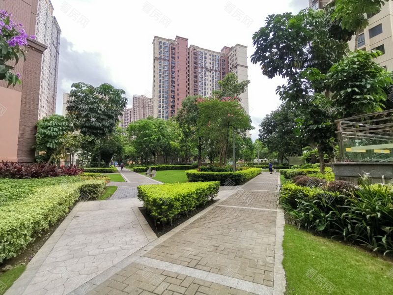 深圳东城国际小区信息图片4