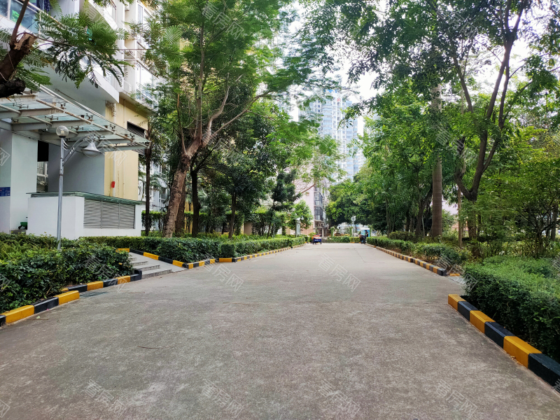 深圳百合星城二期小区信息图片4