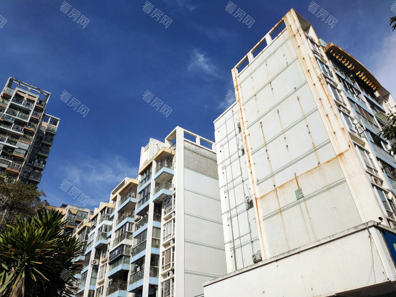 深圳雷圳0755小区信息图片7