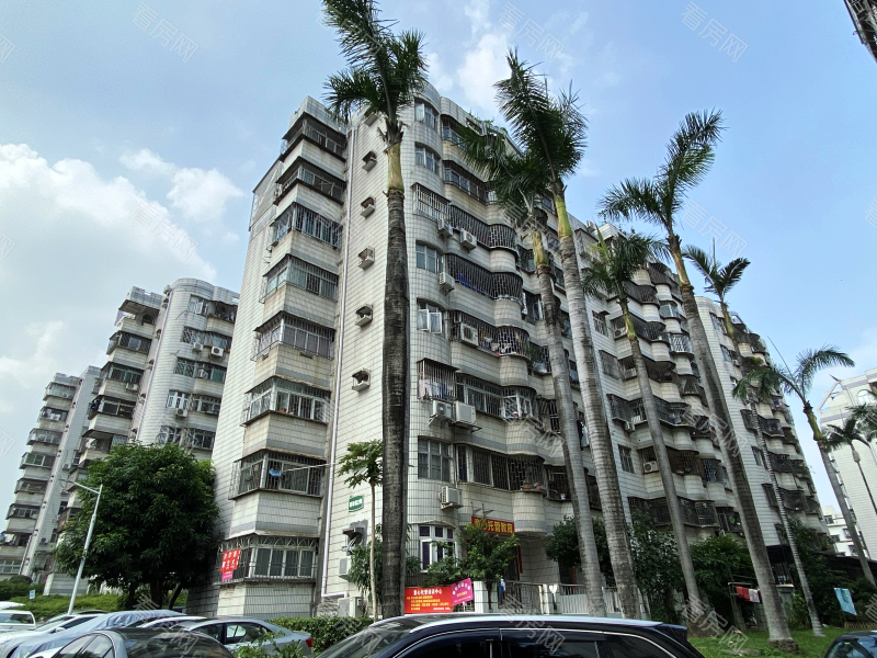 深圳德兴花园南区小区信息图片1