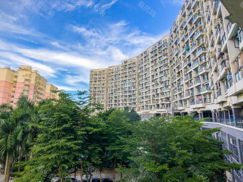 深圳卡罗社区小区信息图片9