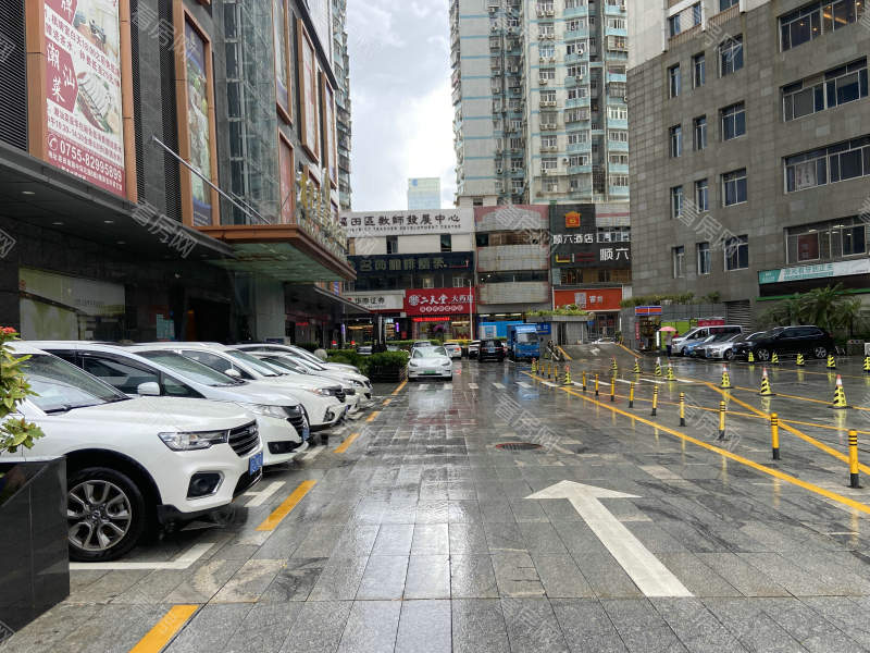 深圳澳新亚首座小区信息图片4