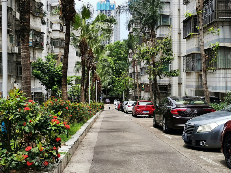 深圳德兴花园北区小区信息图片5