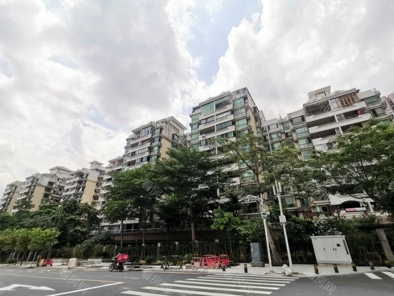 深圳合正锦园北区小区信息图片1