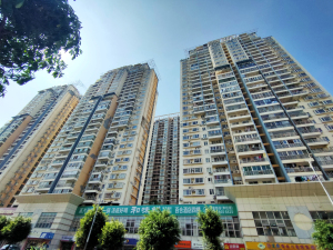 深圳百合星城一期小区信息图片