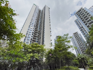 深圳莱蒙水榭春天二期小区信息图片