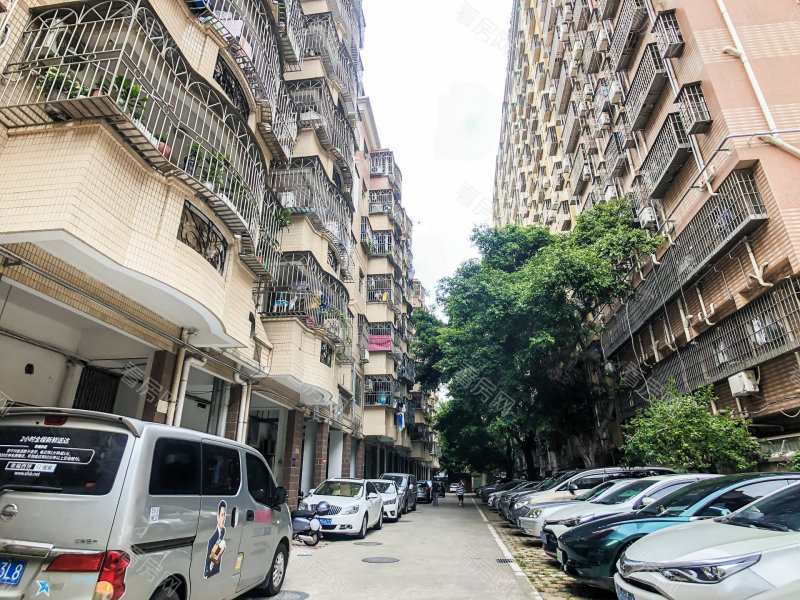 深圳雅涛花园小区信息图片7