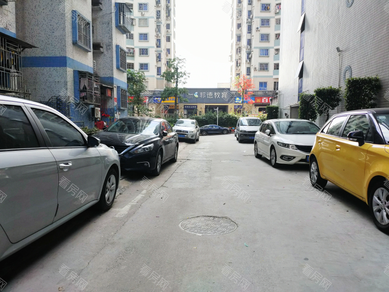 深圳国展苑小区信息图片5