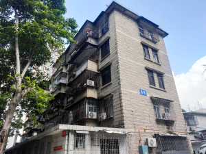 深圳凤凰路58号大院小区信息图片