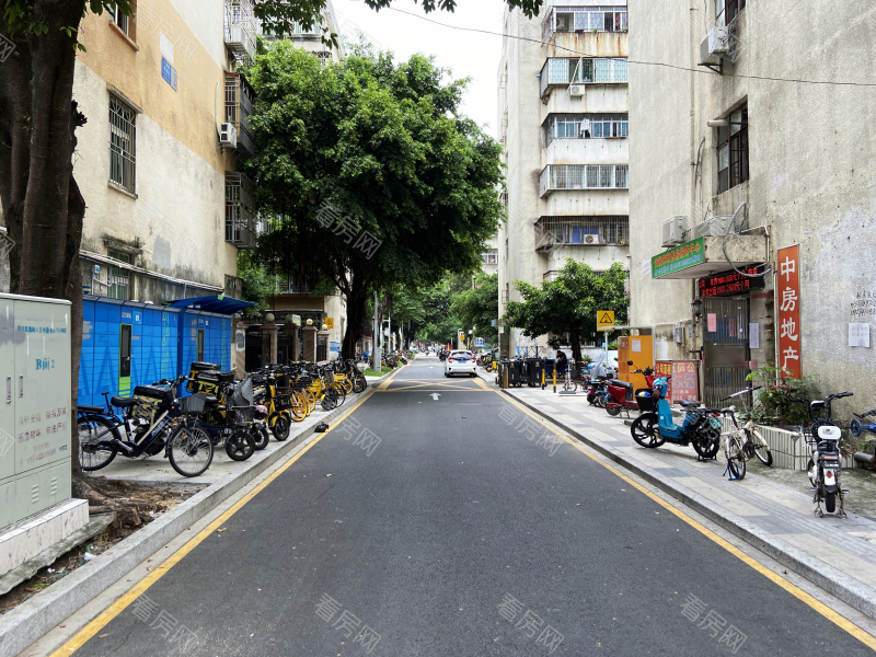 深圳八卦岭宿舍小区信息图片