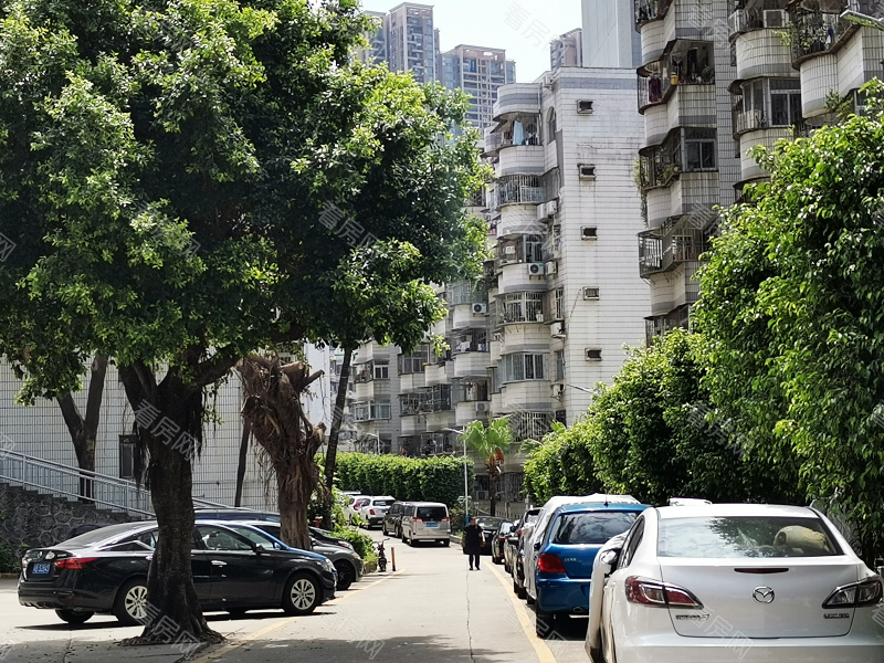 深圳德兴花园北区小区信息图片8