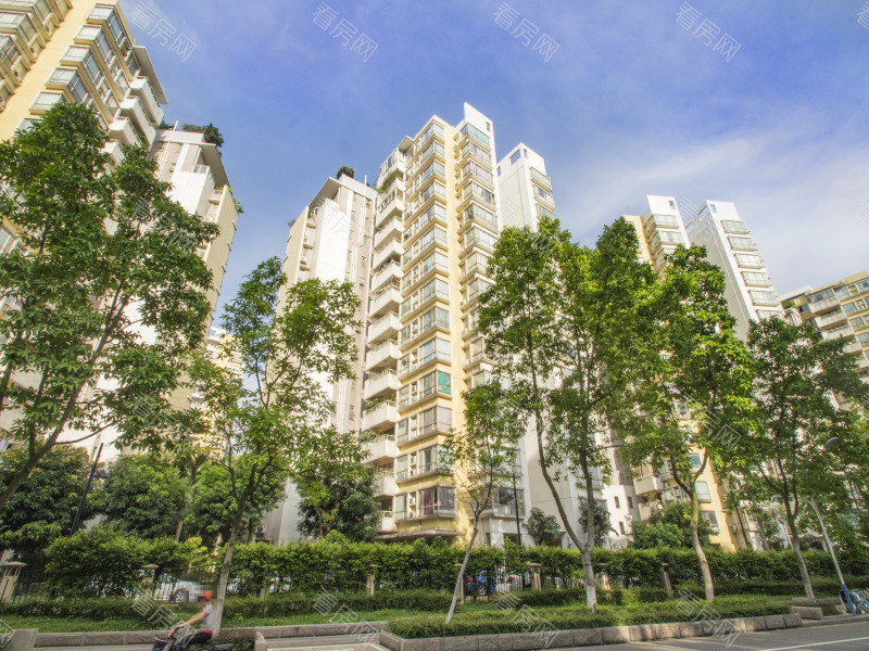 佛山锦城花园小区信息图片6