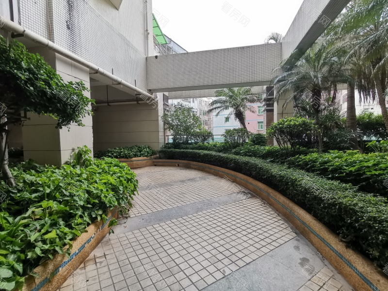 深圳仙湖枫景小区信息图片4