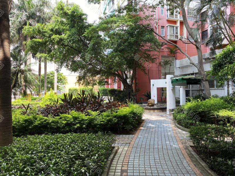 深圳桐景花园小区信息图片3