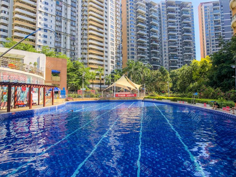 深圳深业新岸线一期小区信息图片8