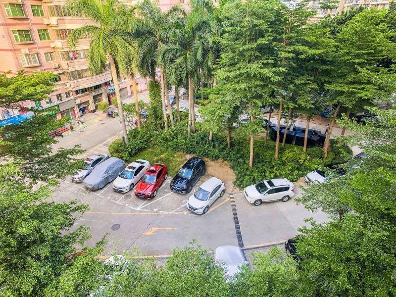 深圳卡罗社区小区信息图片5