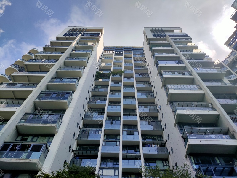 深圳岸芷汀兰小区信息图片8