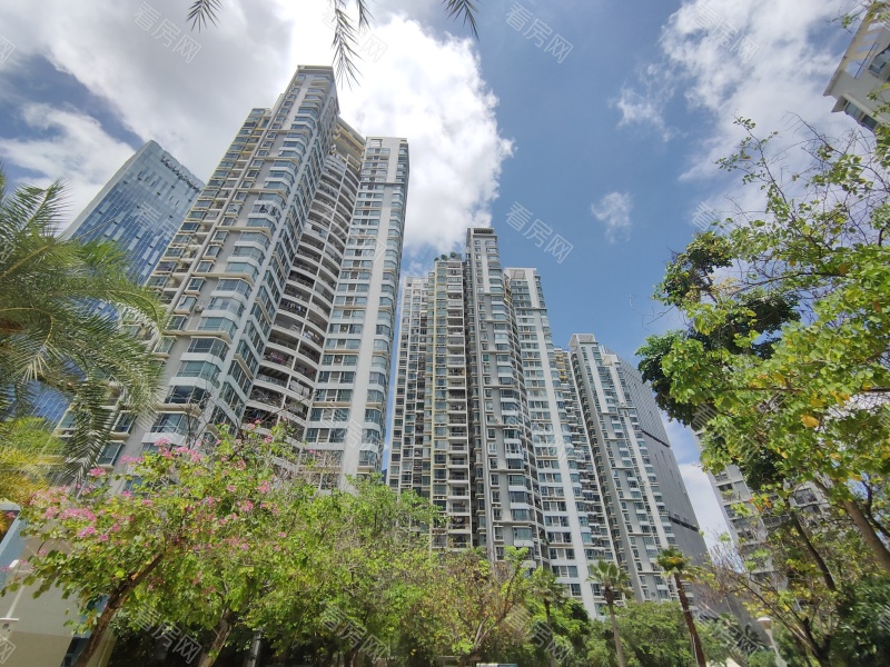 深圳滨海之窗小区信息图片9