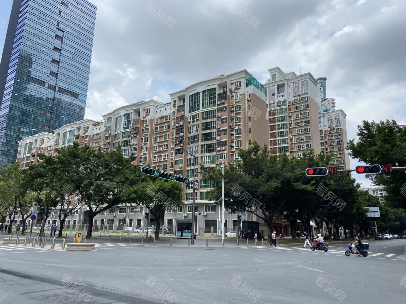 深圳辛诚花园小区信息图片11