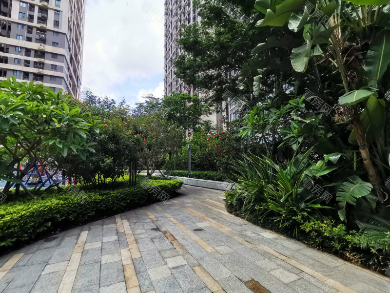 深圳大冲新城花园C区小区信息图片8