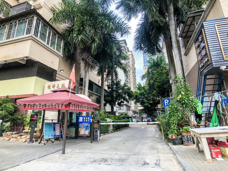 深圳雅涛花园小区信息图片4