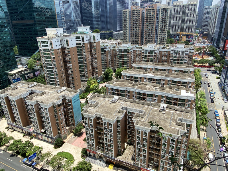 深圳辛诚花园小区信息图片3