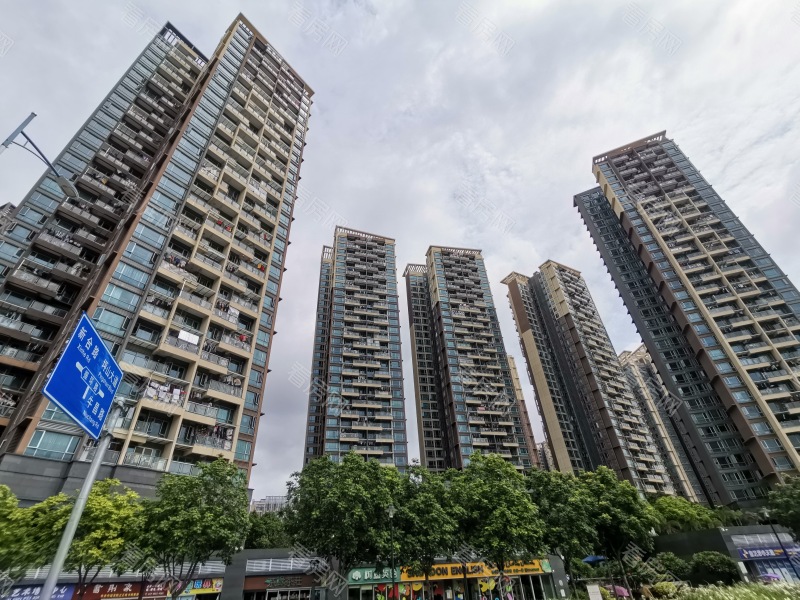 深圳京基御景印象一期小区信息图片6