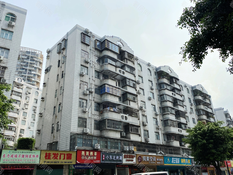 深圳德兴花园南区小区信息图片12