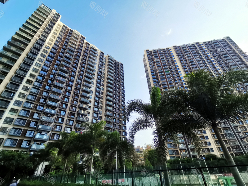 深圳半岛城邦二期小区信息图片2