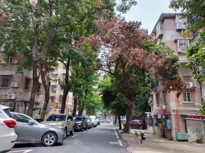 深圳凤凰路58号大院小区信息图片4