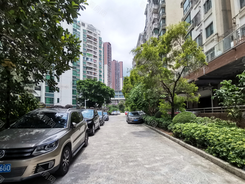 深圳合正锦园北区小区信息图片5