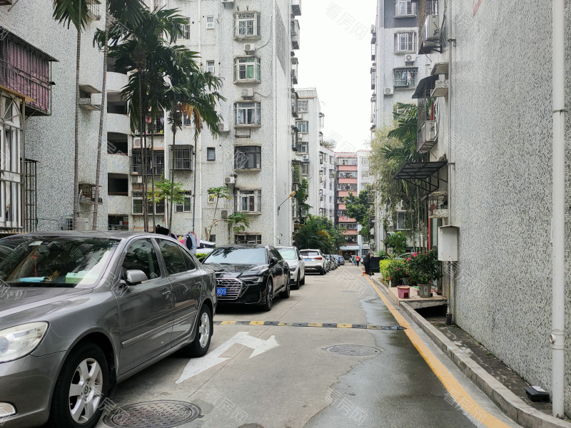 深圳畔山花园小区信息图片4