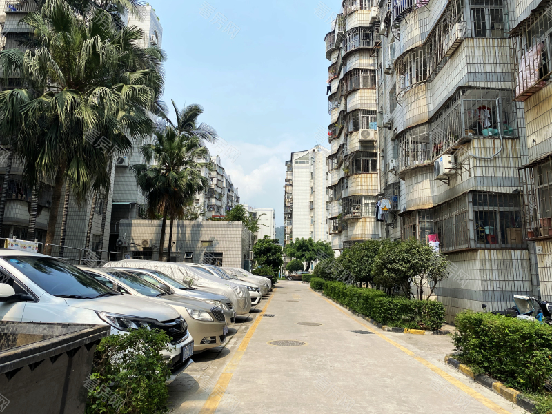 深圳德兴花园南区小区信息图片5