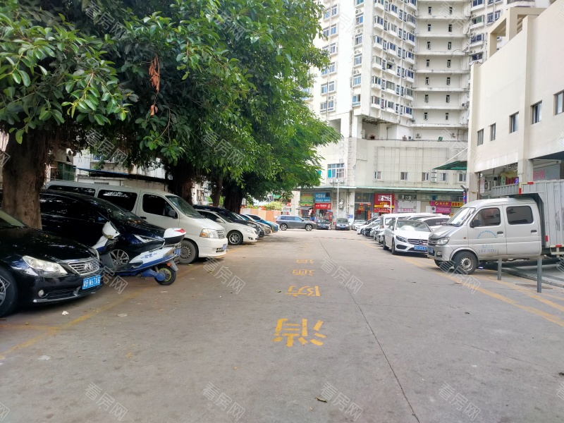 深圳东门168小区信息图片4