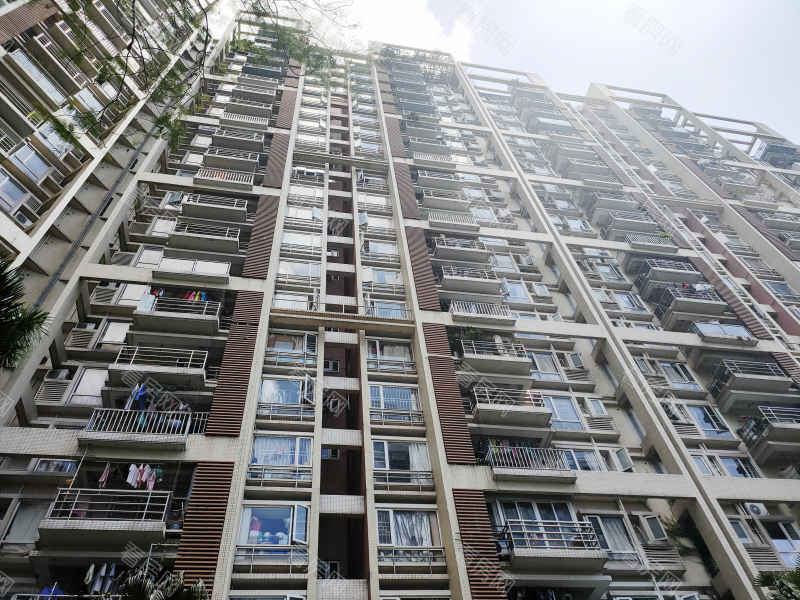 深圳豪方现代豪园小区信息图片11